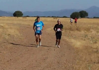 Cross Popular 2016