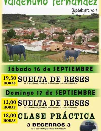 Fiestas 2017