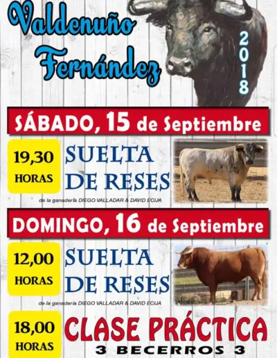 Fiestas 2018