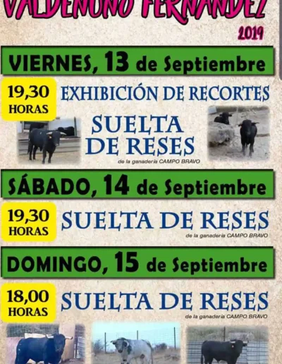Fiestas 2019