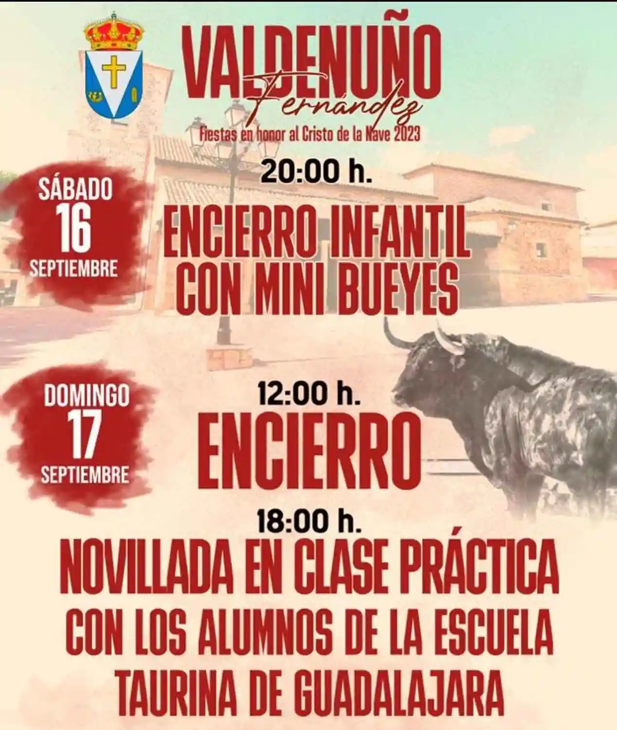 Toros en Valdenuño