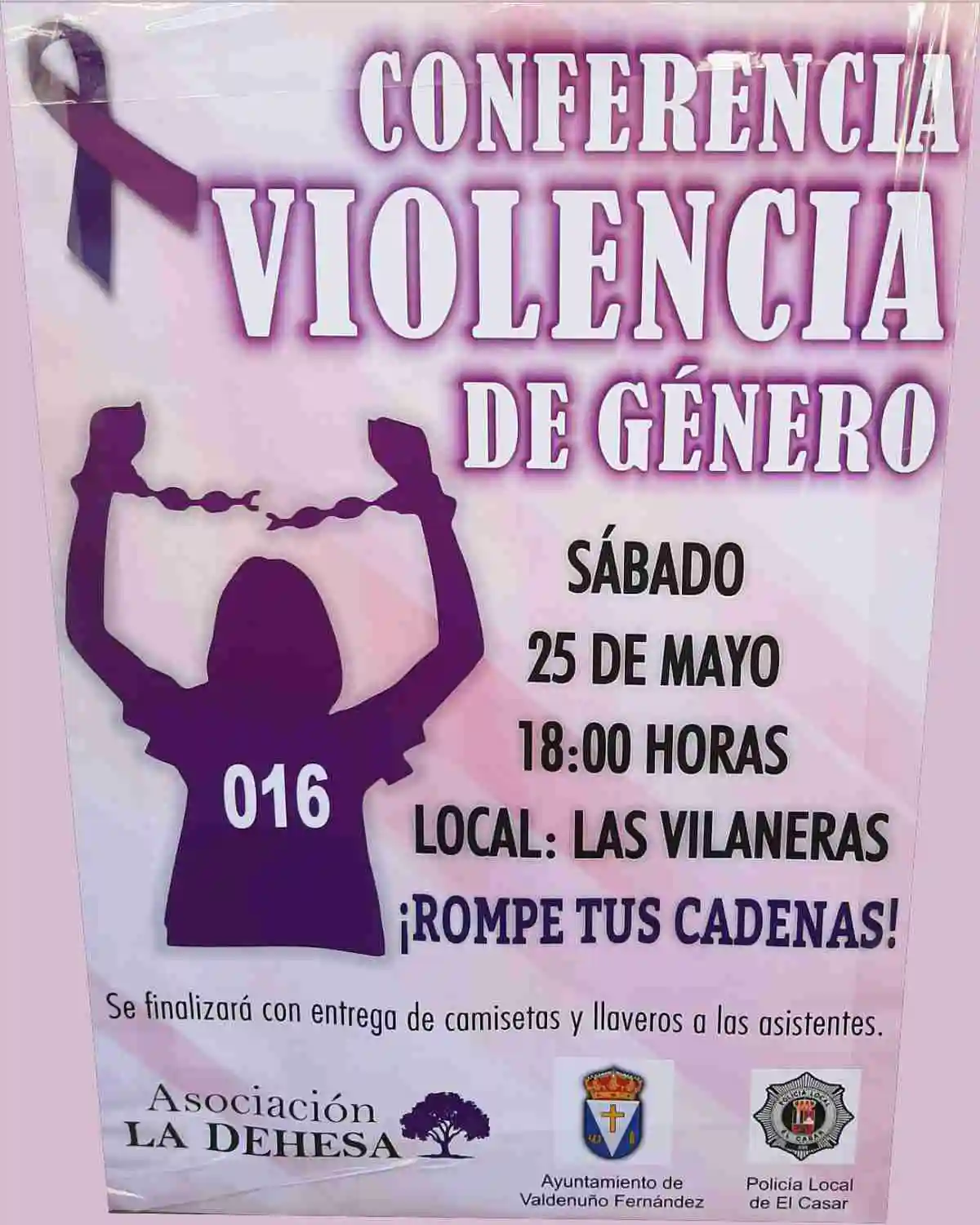 Conferencia Violencia de Género