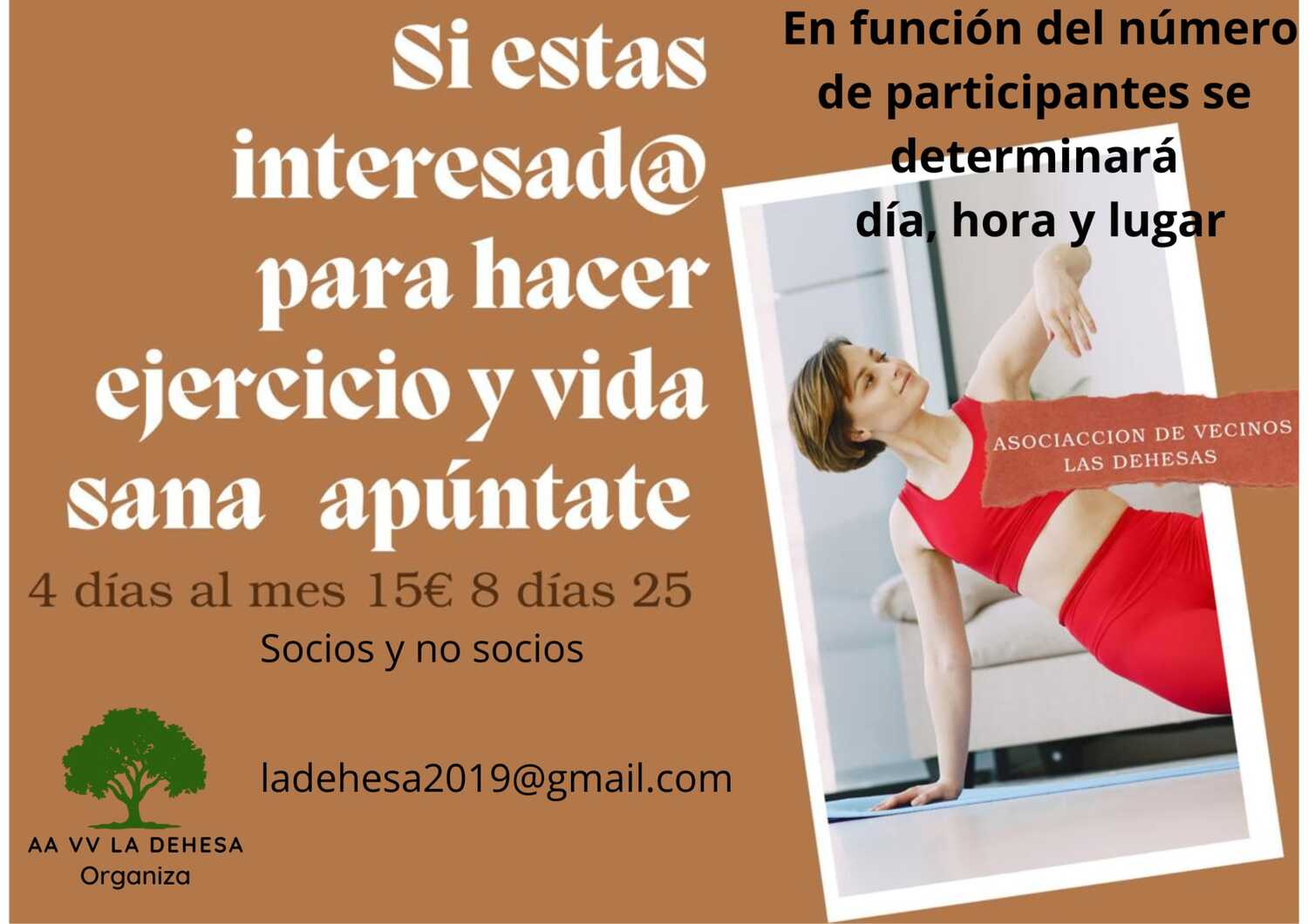 Profesora de Gimnasia