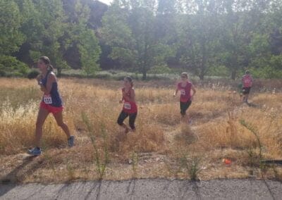 Cross Popular 2016 04