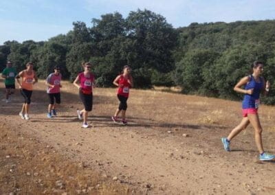 Cross Popular 2016 11