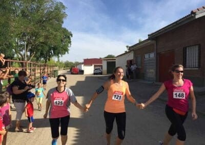 Cross Popular 2016 12