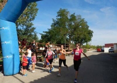 Cross Popular 2016 16