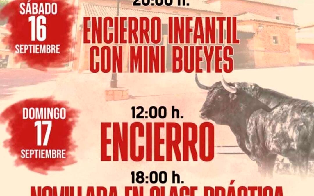 Toros en Valdenuño